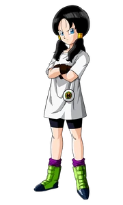 Videl-1 Videl-1