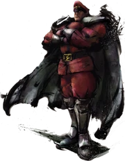 M. Bison