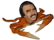 Dollhead crab