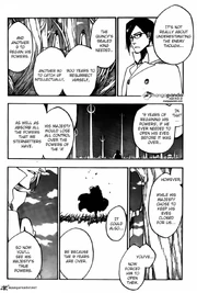 Bleach-5377489 Bleach-5377489