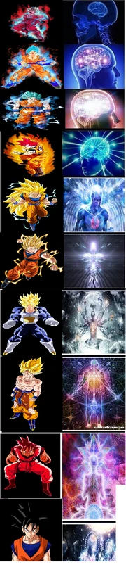 Goku brain