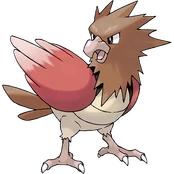 Spearow Spearow