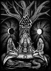 Norns2 Norns2