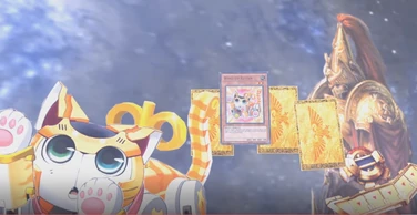 Wind-Up kitten solos