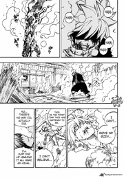 Fairy-tail-9320485