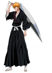 PseudoShikai2