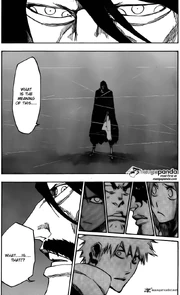 Bleach-5518605
