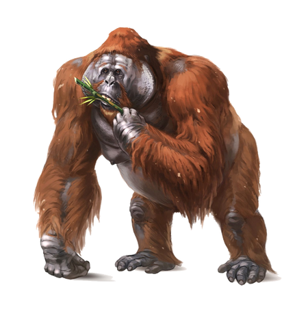 Gigantopithecus | VS Battles Wiki | Fandom