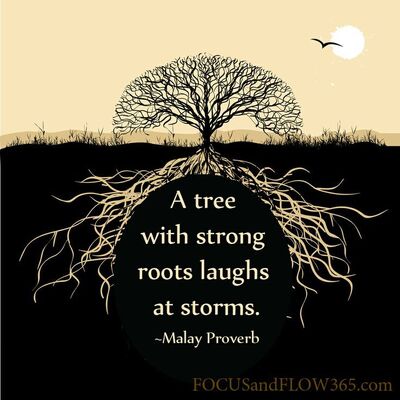 A022956c11046895fc2684ae11988c0e--roots-quotes-wise-quotes