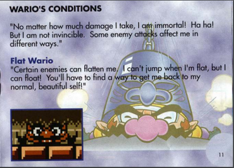 Immortal wario