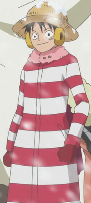 Luffy's Second Outfit Punk Hazard Arc