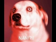 NANI NANI