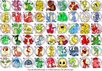 Neopets Species