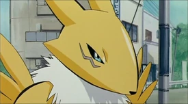 Renamon Face