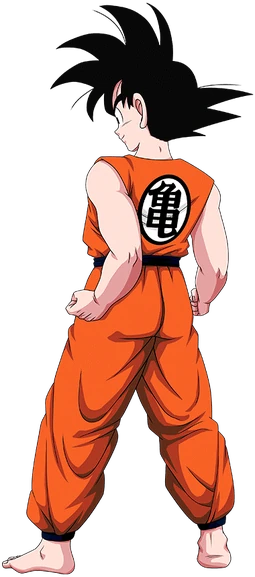 255