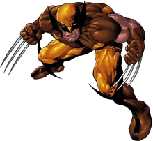 Wolverine 1980s MC TR