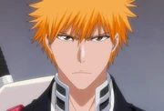 Ichigo pr pic