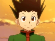 Gon Freecss