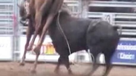 Rodeo Horse Fatally Gored by Bull at High School Rodeo