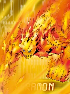 Meramon collectors card