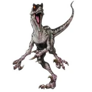 Velociraptor