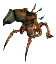Antlion guard Antlion guard