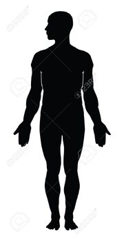 12851049-human-body-silhouette
