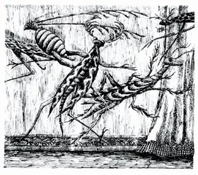 Insect-god-13-1-