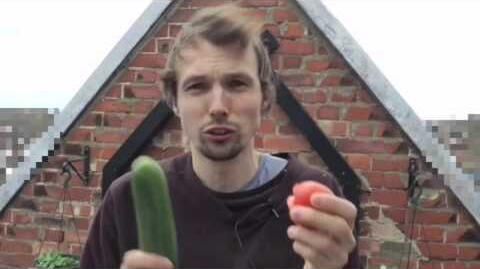 Why you cannot eat tomato and cucumber at the same time-0