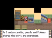 Arceus 4