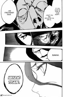 Bleach-4804449