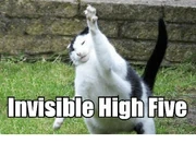 High5