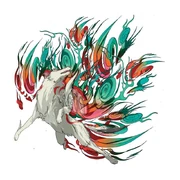 Amaterasu Solar Flare