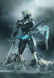 Raiden metal gear