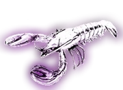 Silver Lobster 3