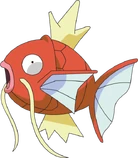 Magikarp (anime AG)