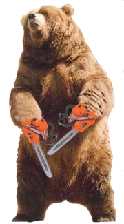 Saw Bear