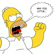 Homer why you little
