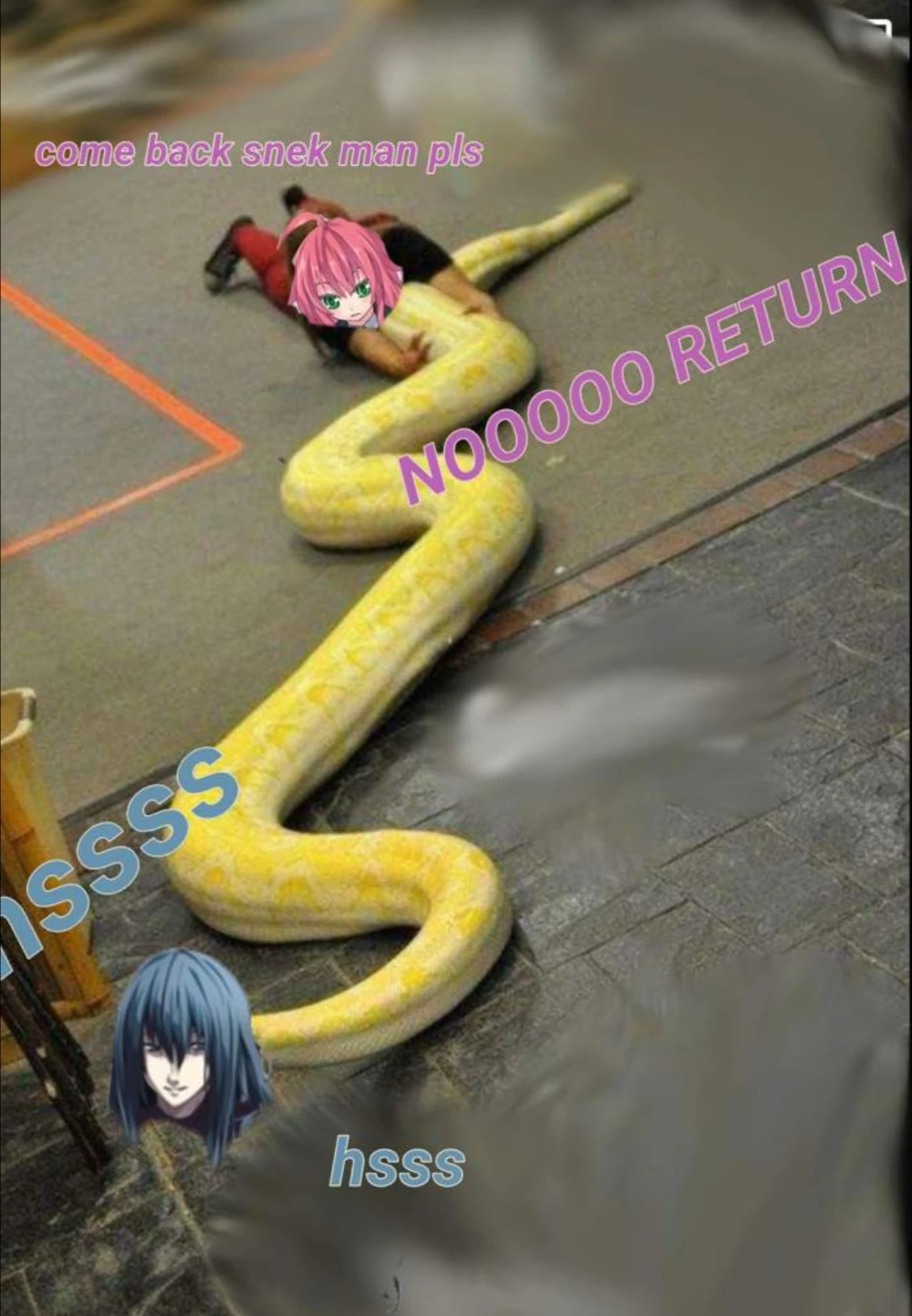 Snekman return hssss