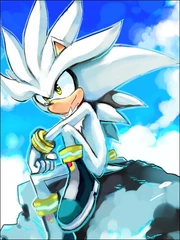 Silver.the.Hedgehog.full.580045