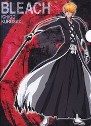 680fef87be85ddaa9d67622dd2e136e2--bleach-anime-manga