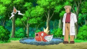 Magikarp omega splash