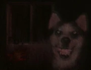 Smile Dog