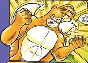 TitanTails