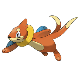 Buizel