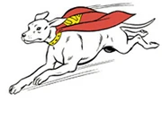 Krypto 2