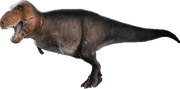 T rex reconstructed