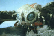 IMG 0905 IMG 0905