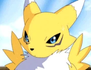 Renamon gif.
