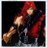 Simon Belmont